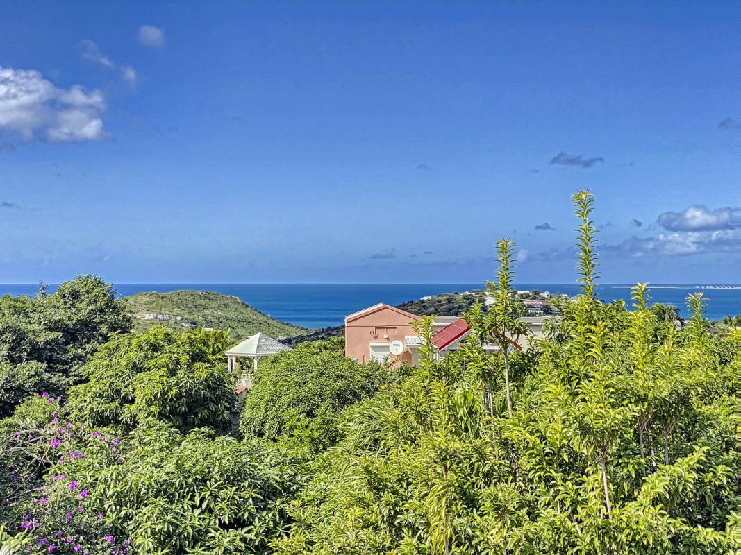 Saint Martin Pic Paradise location villa __vue-23